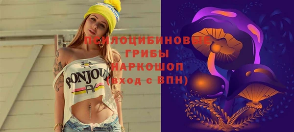 apvp Абинск