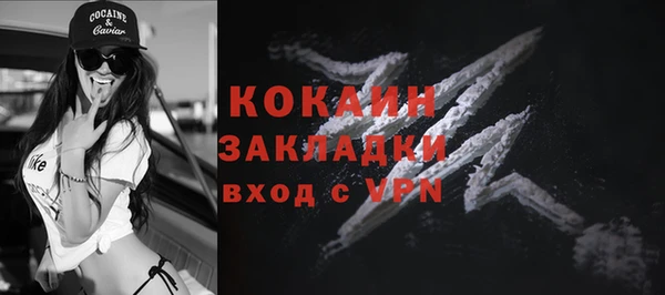 дмт Краснослободск