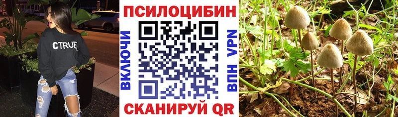 Псилоцибиновые грибы GOLDEN TEACHER Азнакаево